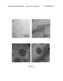 BIOPOLYMER HOOKS TO CREATE COATINGS ON LIPOSOMES diagram and image