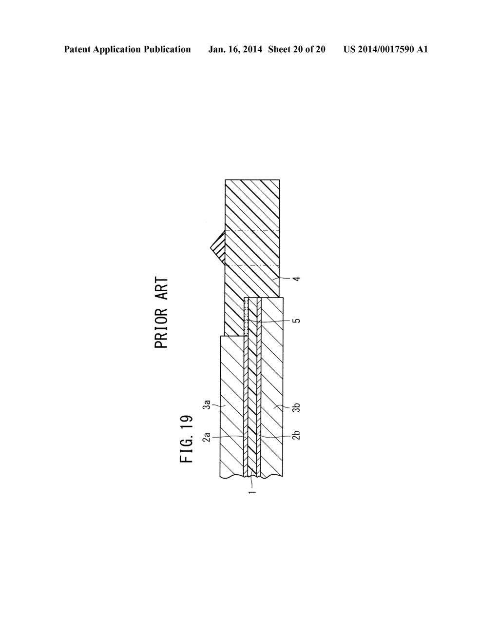 ELECTROLYTE MEMBRANE-ELECTRODE ASSEMBLY FOR FUEL CELLS, AND METHOD FOR     PRODUCING SAME - diagram, schematic, and image 21