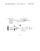 COMPOSITIONS AND METHODS FOR DETECTING AND QUANTIFYING CIRCULATING TUMOR     CELLS (CTCs) diagram and image