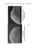 BIOLOGIC SAMPLE COLLECTION DEVICES AND METHODS OF PRODUCTION AND USE     THEREOF diagram and image