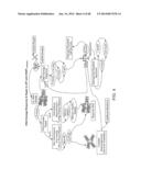 PATHWAY CHARACTERIZATION OF CELLS diagram and image