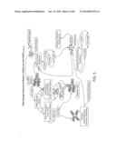 PATHWAY CHARACTERIZATION OF CELLS diagram and image