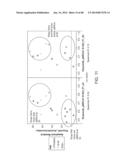 PATHWAY CHARACTERIZATION OF CELLS diagram and image