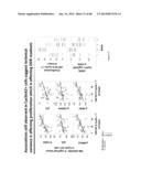 PATHWAY CHARACTERIZATION OF CELLS diagram and image