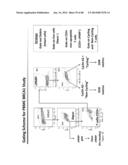 PATHWAY CHARACTERIZATION OF CELLS diagram and image