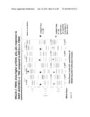 PATHWAY CHARACTERIZATION OF CELLS diagram and image