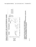 PATHWAY CHARACTERIZATION OF CELLS diagram and image