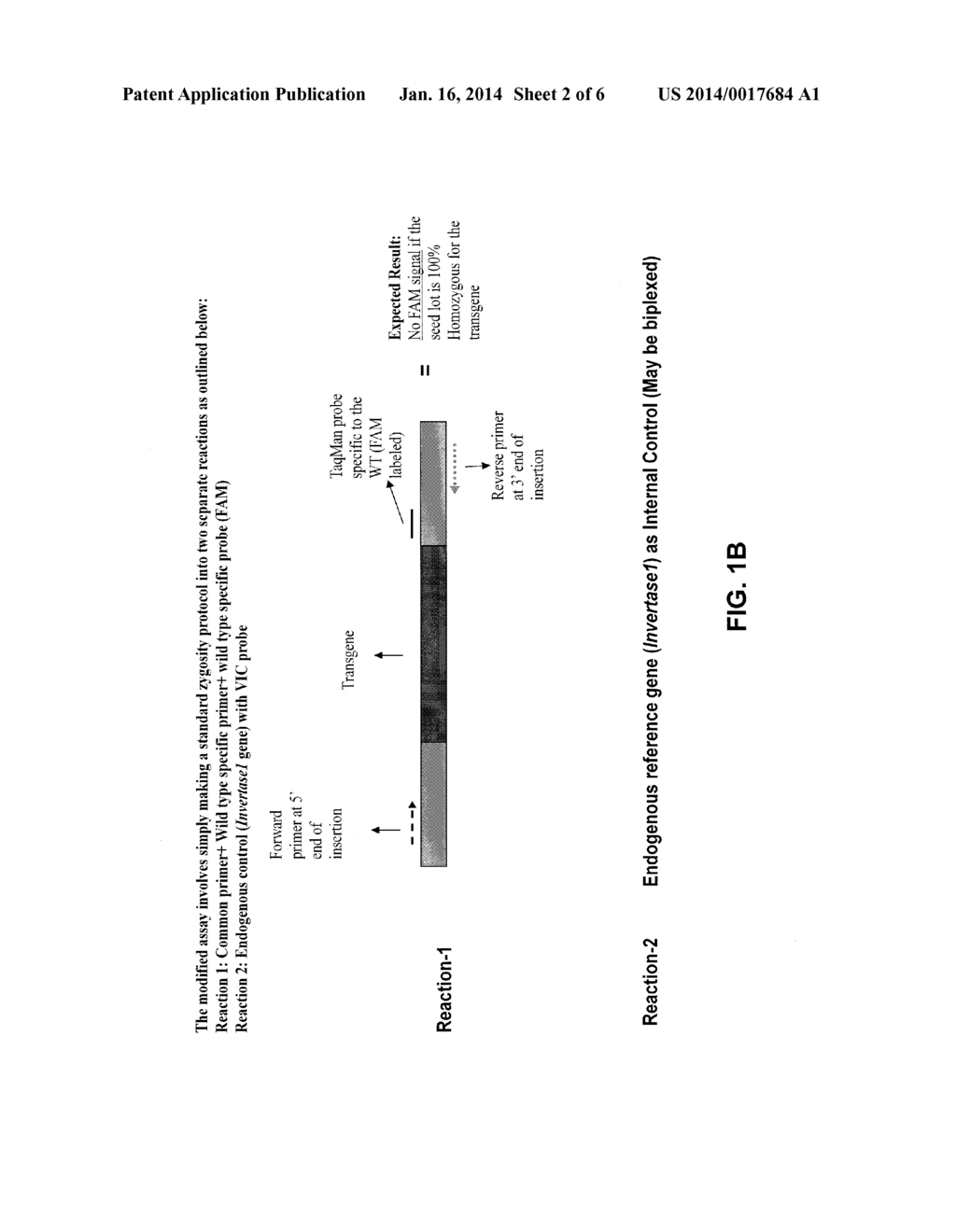 METHODS TO DETERMINE ZYGOSITY IN A BULKED SAMPLE - diagram, schematic, and image 03