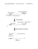 METHODS, COMPOSITIONS, AND KITS FOR DETERMING THE PRESENCE/ABSENCE OF A     VARIAN NUCLEIC ACID SEQUENCE diagram and image