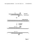 METHOD FOR DETECTING NUCLEIC ACIDS diagram and image