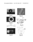 SENSITIVE INTRACAVITY BIOSENSING PLATFORM AND METHODS FOR DETECTION     THEREWITH diagram and image