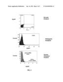 LOW DENSITY LIPOPROTEIN RECEPTOR-MEDIATED siRNA DELIVERY diagram and image