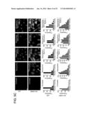 Cancer Therapies and Diagnostics diagram and image