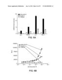 Cancer Therapies and Diagnostics diagram and image