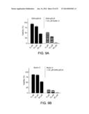 Cancer Therapies and Diagnostics diagram and image