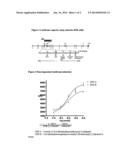 TREATMENT OF DUCHENNE MUSCULAR DYSTROPHY diagram and image