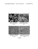 DIMER DIOL COMPOSITIONS AS SUBSTITUTES OF BODY FLUIDS diagram and image