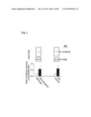 METHOD OF INHIBITING TAU PHOSPHORYLATION diagram and image