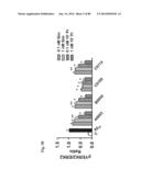 METHOD OF INHIBITING TAU PHOSPHORYLATION diagram and image