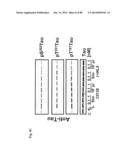 METHOD OF INHIBITING TAU PHOSPHORYLATION diagram and image