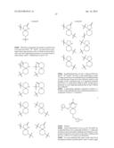 METHOD OF INHIBITING TAU PHOSPHORYLATION diagram and image