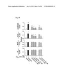 METHOD OF INHIBITING TAU PHOSPHORYLATION diagram and image