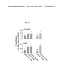 METHOD OF INHIBITING TAU PHOSPHORYLATION diagram and image