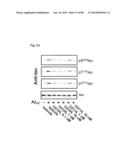 METHOD OF INHIBITING TAU PHOSPHORYLATION diagram and image