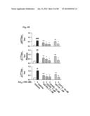 METHOD OF INHIBITING TAU PHOSPHORYLATION diagram and image