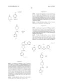 METHOD OF INHIBITING TAU PHOSPHORYLATION diagram and image