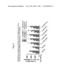 METHOD OF INHIBITING TAU PHOSPHORYLATION diagram and image