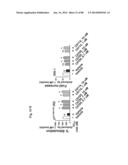 METHOD OF INHIBITING TAU PHOSPHORYLATION diagram and image