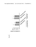 METHOD OF INHIBITING TAU PHOSPHORYLATION diagram and image