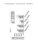 METHOD OF INHIBITING TAU PHOSPHORYLATION diagram and image