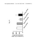 METHOD OF INHIBITING TAU PHOSPHORYLATION diagram and image