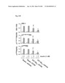 METHOD OF INHIBITING TAU PHOSPHORYLATION diagram and image