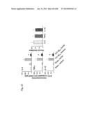 METHOD OF INHIBITING TAU PHOSPHORYLATION diagram and image