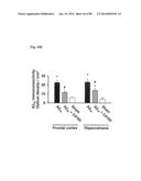 METHOD OF INHIBITING TAU PHOSPHORYLATION diagram and image