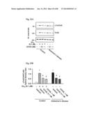 METHOD OF INHIBITING TAU PHOSPHORYLATION diagram and image