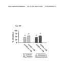 METHOD OF INHIBITING TAU PHOSPHORYLATION diagram and image