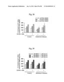 METHOD OF INHIBITING TAU PHOSPHORYLATION diagram and image