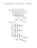 METHOD OF INHIBITING TAU PHOSPHORYLATION diagram and image