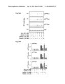 METHOD OF INHIBITING TAU PHOSPHORYLATION diagram and image