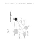 METHOD OF INHIBITING TAU PHOSPHORYLATION diagram and image