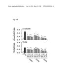 METHOD OF INHIBITING TAU PHOSPHORYLATION diagram and image