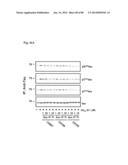 METHOD OF INHIBITING TAU PHOSPHORYLATION diagram and image