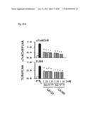 METHOD OF INHIBITING TAU PHOSPHORYLATION diagram and image