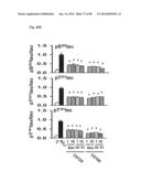 METHOD OF INHIBITING TAU PHOSPHORYLATION diagram and image