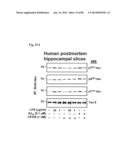 METHOD OF INHIBITING TAU PHOSPHORYLATION diagram and image