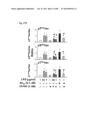 METHOD OF INHIBITING TAU PHOSPHORYLATION diagram and image